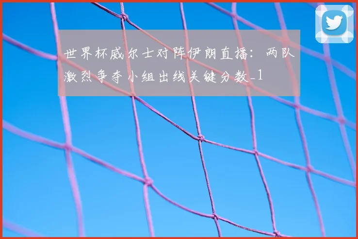 世界杯威尔士对阵伊朗直播：两队激烈争夺小组出线关键分数_1
