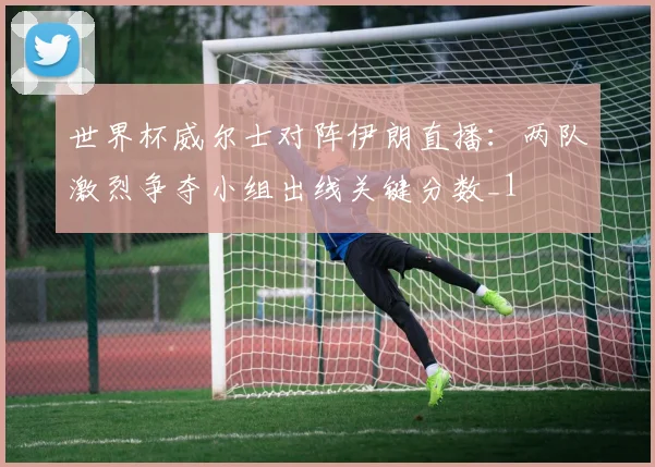 世界杯威尔士对阵伊朗直播:两队激烈争夺小组出线关键分数_1